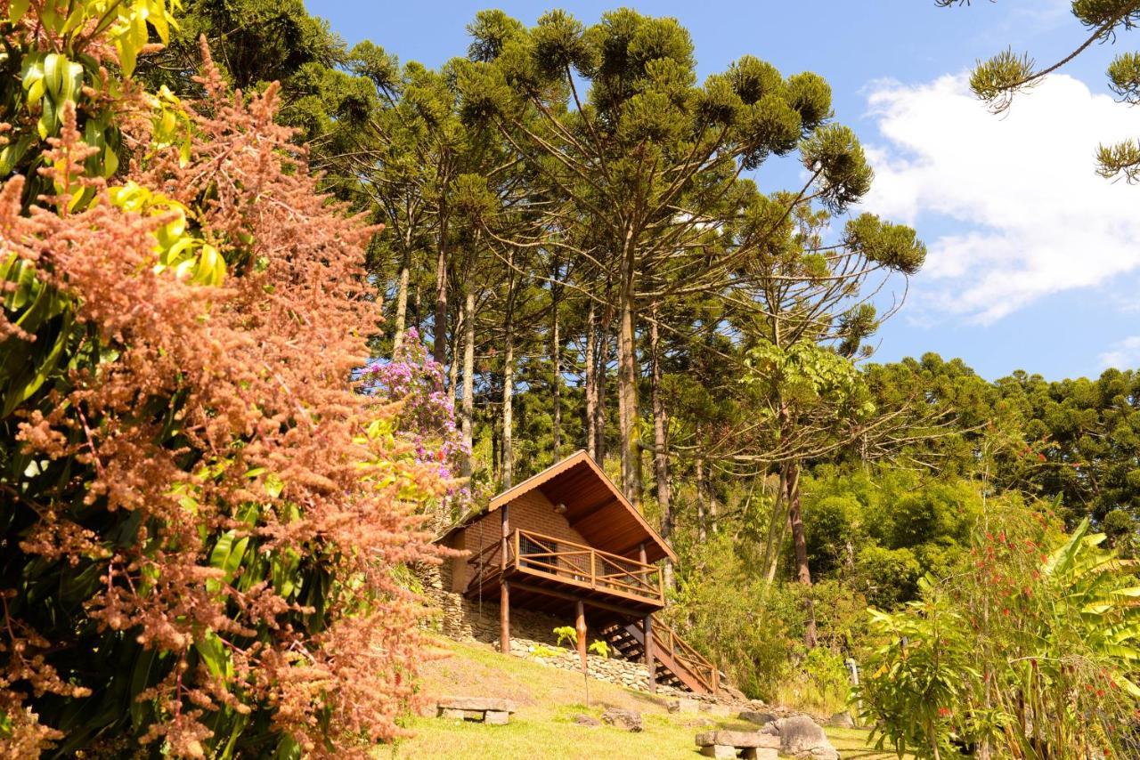 Chales Araucaria E Manaca Villa São Bento do Sapucaí Exteriör bild