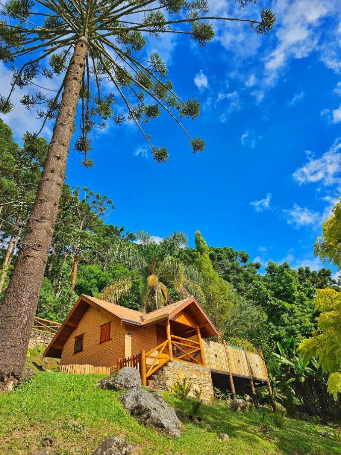 Chales Araucaria E Manaca Villa São Bento do Sapucaí Exteriör bild