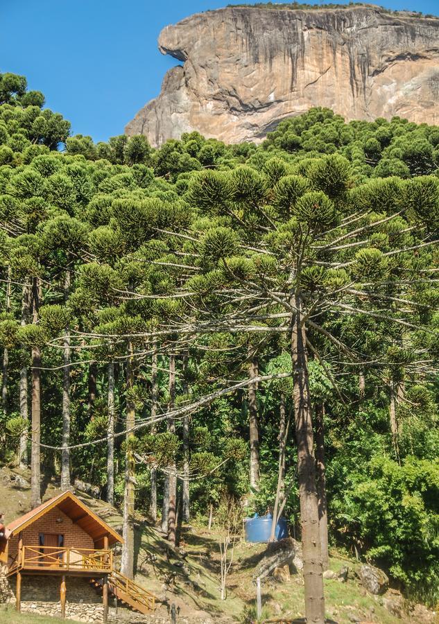 Chales Araucaria E Manaca Villa São Bento do Sapucaí Exteriör bild