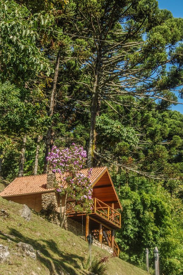 Chales Araucaria E Manaca Villa São Bento do Sapucaí Exteriör bild